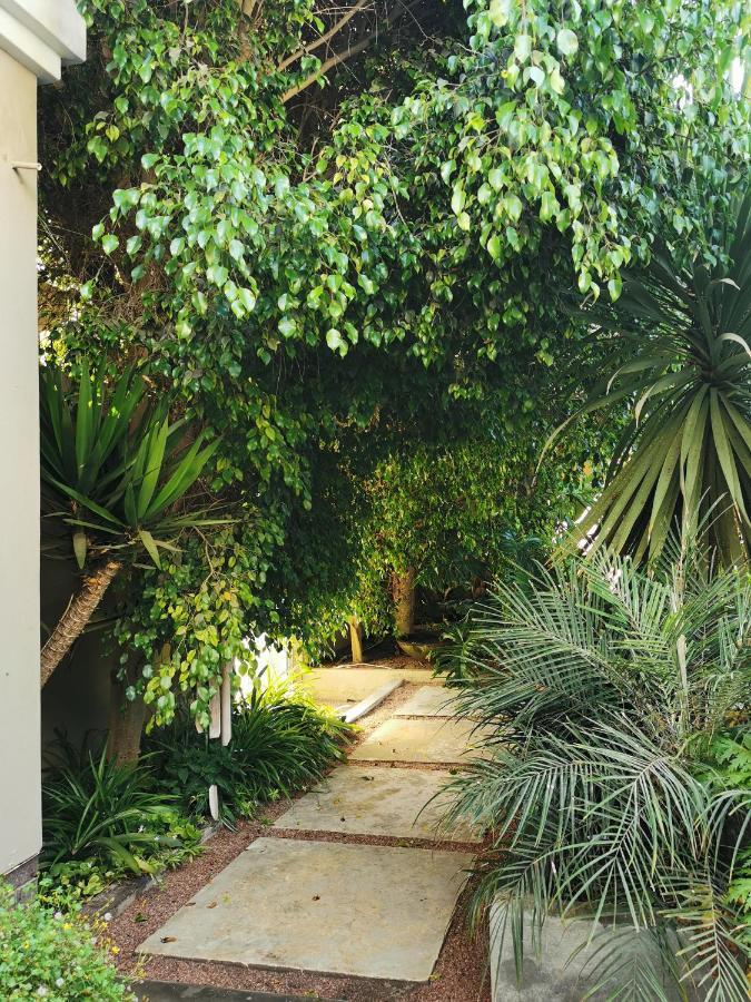 Mulberry Gardens Self Catering Swakopmund Exterior foto